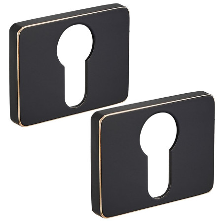 Szyld Prostokątny Na Wkładkę Czarno-Złoty Rozeta