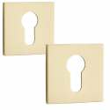 Rozeta Kwadratowa Wkładka Szyld do Klamki Wewnętrznej Złota