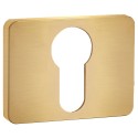 Szyld Krótki Prostokątny Wkładka Złoty Kuchinox LK7_G02A do Klamki MALI